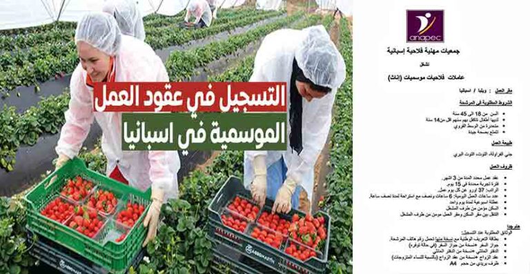 مطلوب 4500 عامل وعاملة للعمل في الفلاحة باسبانيا 2024