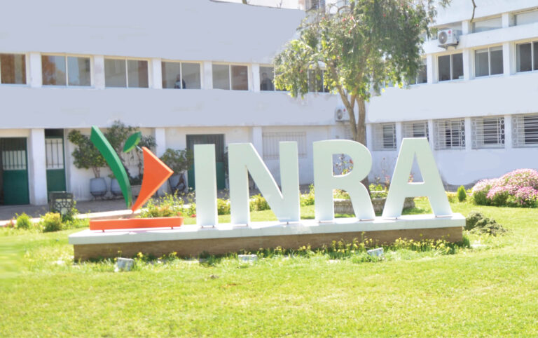 Concours de Recrutement INRA 2024 (70 Postes)
