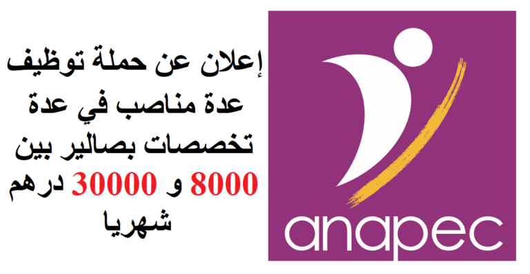 إعلان عن حملة توظيف في عدة تخصصات بصالير بين 8000 و 35000 درهم شهريا