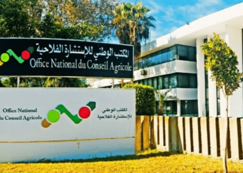 مباراة توظيف 52 منصب بالمكتب الوطني للإستشارة الفلاحية