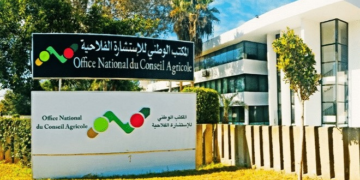مباراة توظيف 52 منصب بالمكتب الوطني للإستشارة الفلاحية