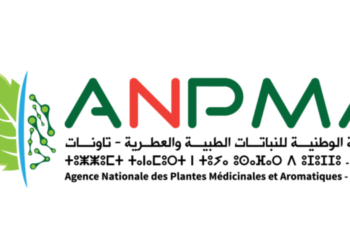 مباراة توظيف 4 مناصب بالوكالة الوطنية للنباتات الطبية والعطرية 2024