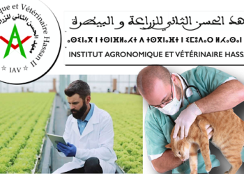 مباراة توظيف 14 منصب بمعهد الحسن الثاني للزراعة والبيطرة 2024