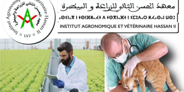 مباراة توظيف 14 منصب بمعهد الحسن الثاني للزراعة والبيطرة 2024
