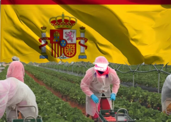 التسجيل في الفلاحة في إسبانيا 2025