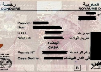 فرصة عمل سائق حاصلين على أي رخصة سياقة