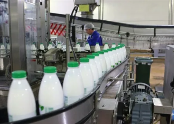 شركة للحليب ومشتقاته تبحث عن موظفين بمستوى الاعدادي فقط وبدون خبرة سابقة