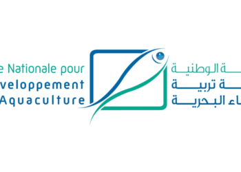 مباراة توظيف 8 مناصب بالوكالة الوطنية لتنمية تربية الأحياء البحرية 2025