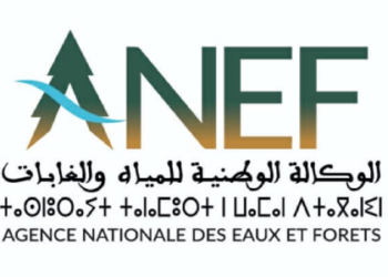مباراة توظيف 4 منصب بالوكالة الوطنية للمياه والغابات 2025