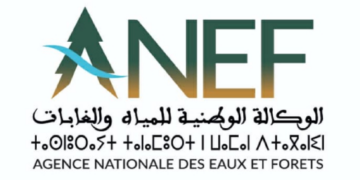 مباراة توظيف 4 منصب بالوكالة الوطنية للمياه والغابات 2025