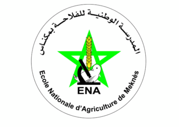 التسجيل في مباراة ولوج المدرسة الوطنية للفلاحة بمكناس 2025-2026