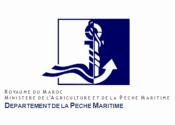 ولوج معاهد تكنولوجيا الصيد البحري 2025-2026 ITPM