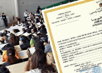 المدارس والمعاهد التي تقبل بمعدل 12 أو اقل في الباك 2025