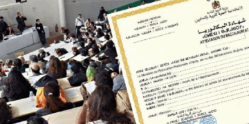 المدارس والمعاهد التي تقبل بمعدل 12 أو اقل في الباك 2025