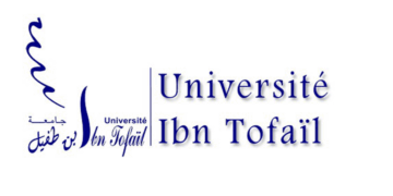 مباراة توظيف 15 منصب بجامعة ابن طفيل القنيطرة 2025