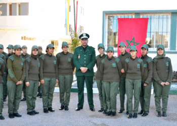 التسجيل في مباراة ولوج المعهد الملكي للتقنيين المتخصصين في المياه والغابات سلا 2025-2026