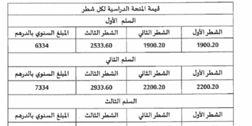 المنحة الجامعية : قيمتها وتاريخ صرفها للطلبة الجدد والقدامى 2025