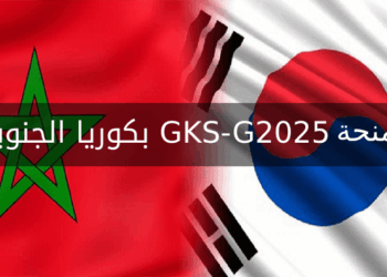 تم فتح التسجيل رسميا لطلبة الراغبين في الدراسة بدولة كوريا الجنوبيه