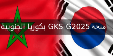 تم فتح التسجيل رسميا لطلبة الراغبين في الدراسة بدولة كوريا الجنوبيه