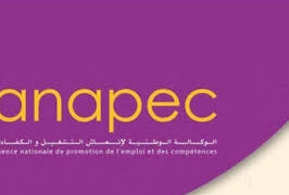 60 منصب شغل في برشيد عبر ANAPEC: أرسل سيرتك الذاتية الآن