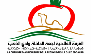 الغرفة الفلاحية لجهة الداخلة وادي الذهب: مباراة توظيف متصرف من الدرجة الثالثة و2 تقنيين من الدرجة الثالثة والرابعة. آخر أجل 12 أكتوبر 2025