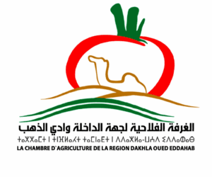 الغرفة الفلاحية لجهة الداخلة وادي الذهب: مباراة توظيف متصرف من الدرجة الثالثة و2 تقنيين من الدرجة الثالثة والرابعة. آخر أجل 12 أكتوبر 2025