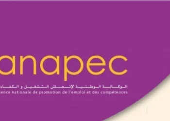 إعلانات العمل بالوكالة الوطنية لإنعاش التشغيل والكفاءات للأسبوع الثاني لشهر نونبر 2025