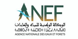 مباراة توظيف 88 منصب بالوكالة الوطنية للمياه والغابات 2025
