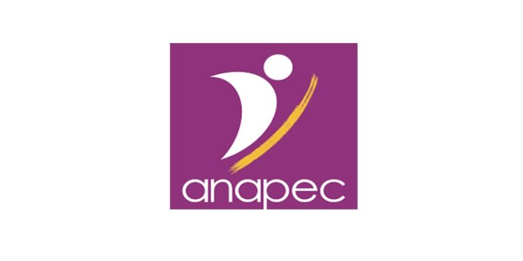 أنابيك مراكش: مطلوب توظيف 50 موظف وموظفة متجر في قطاع التجارة الكبرى