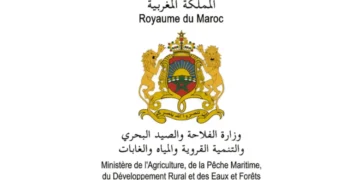 التسجيل في الثالثة اعدادي أحرار التاسعة حرة 2026-2025 دورة 2026