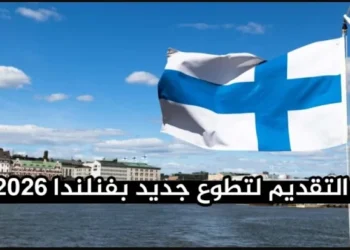 التطوع الدولي في فنلندا 2026