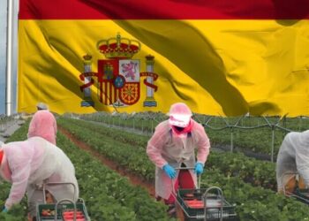 فرص العمل في إسبانيا 2026