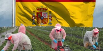 فرص العمل في إسبانيا 2026