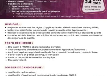10 مناصب شغل متاحة في فرنسا عبر الأنابيك