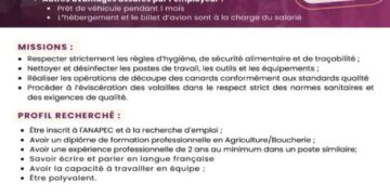 10 مناصب شغل متاحة في فرنسا عبر الأنابيك