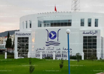 جامعة عبد المالك السعدي 2026
