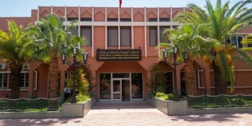 2026 مباراة توظيف 20 منصب بالمكتب الجهوي للاستثمار الفلاحي لورزازات