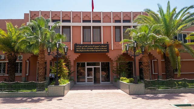 2026 مباراة توظيف 20 منصب بالمكتب الجهوي للاستثمار الفلاحي لورزازات