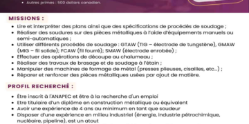 الوكالة الوطنية لإنعاش التشغيل والكفاءات (ANAPEC) تفتح 24 فرصة عمل في كندا وفرنسا