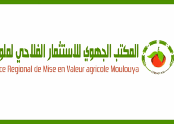 المكتب الجهوي للاستثمار الفلاحي لملوية 2026