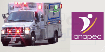 تشغيل 270 سائق بعدة مدن