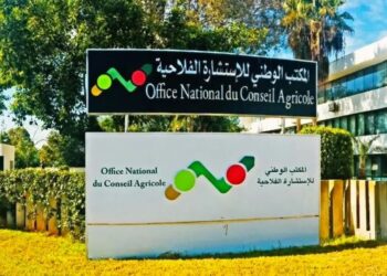مباراة توظيف بالمكتب الوطني للاستشارة الفلاحية 2026 (50 منصبا)