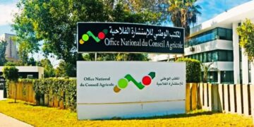 مباراة توظيف بالمكتب الوطني للاستشارة الفلاحية 2026 (50 منصبا)