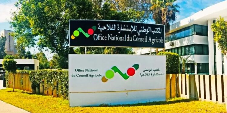 مباراة توظيف بالمكتب الوطني للاستشارة الفلاحية 2026 (50 منصبا)