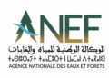 مباراة توظيف 7 مناصب بالوكالة الوطنية للمياه والغابات 2026