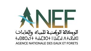 مباراة توظيف 7 مناصب بالوكالة الوطنية للمياه والغابات 2026