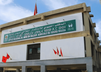مباراة توظيف 30 منصب بالمكتب الجهوي للاستثمار الفلاحي لسوس ماسة 2026