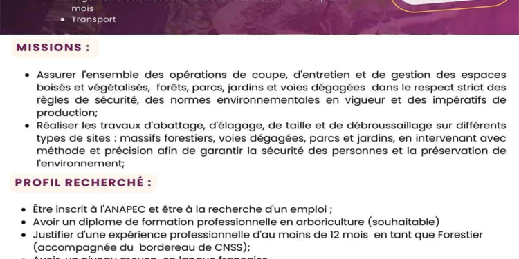 الأنابيك: توظيف 10 عمال في الأشغال الغابوية بفرنسا بعقد عمل دائم CDI