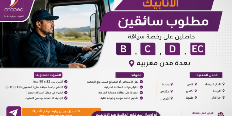 مطلوب سائقين حاصلين على رخصة سياقة صنف B, C, D, EC بعدة مدن مغربية
