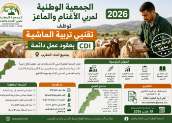 الجمعية الوطنية لمربي الأغنام والماعز توظف تقنيي تربية الماشية بعقود عمل دائمة CDI بجميع أنحاء المغرب